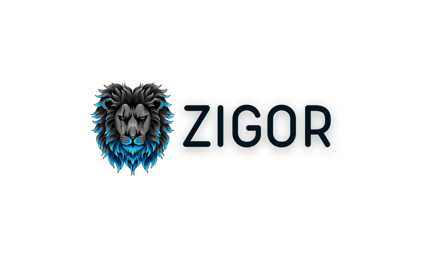 ZIGOR.IN